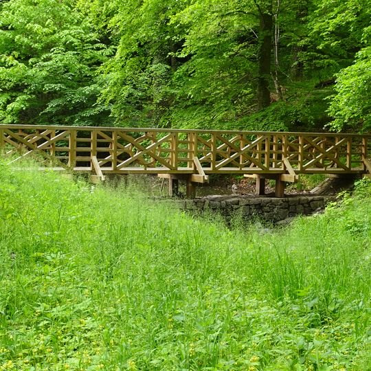 Dřevěná lávka přes Janovický potok v jižní části zámeckého parku Vrchotovy Janovice