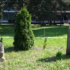Penitence crosses at Bohunice Hospital