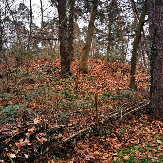 Bunker 170 Dettingen