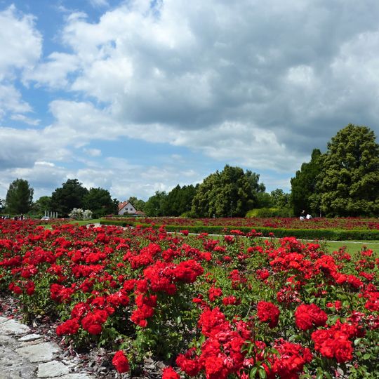 Rose Garden Lidice
