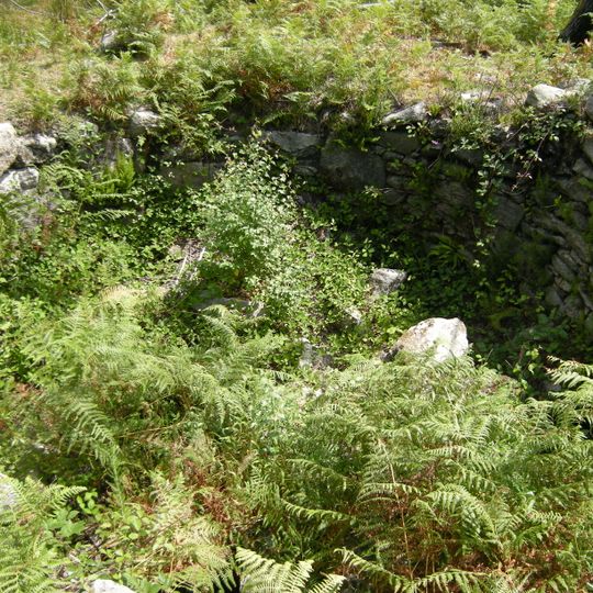 Foxo de lobo de Gargamala