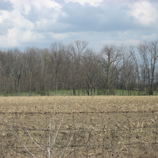 Keiter Mound