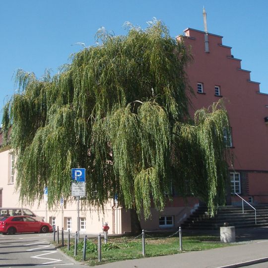 Sogenannte Jahnhalle, Turn- und Stadthalle