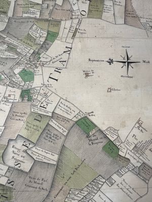 Immagine alternativa