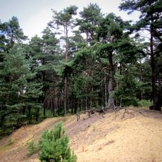 Naturschutzgebiet 'Binnendünen bei Siegenburg und Offenstetten'