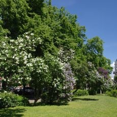 Park on Regional Council Square