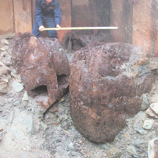 Izumo-taisha Precinct Site