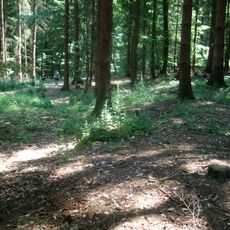 Kleinkastell Heidekringen