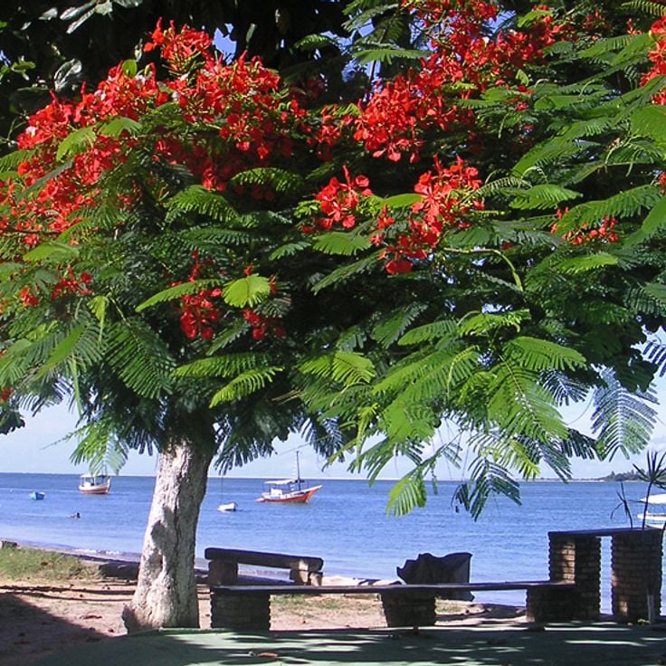 Vera Cruz