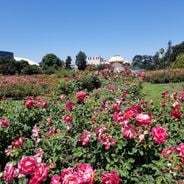 Hva du kan gjøre i Los Angeles: severdigheter, museer og underholdning