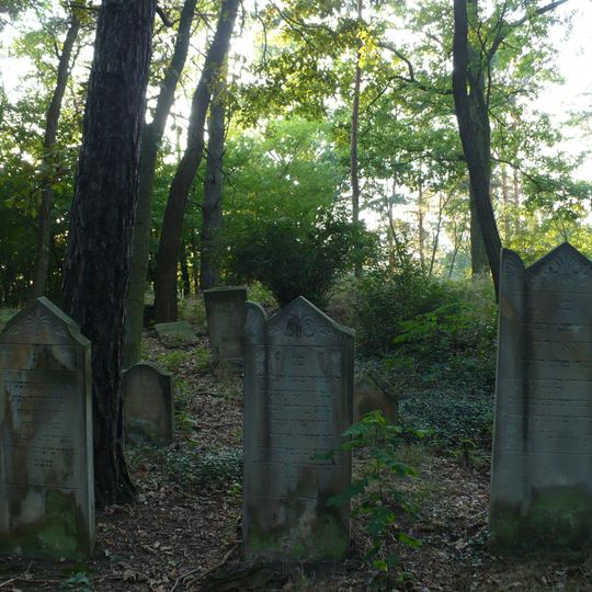 Jewish cemetery in Trzciel