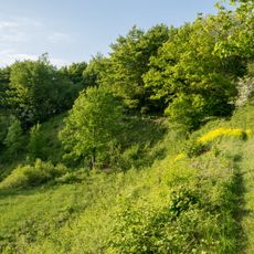 NSG Biotopkomplex am Muehlenturm