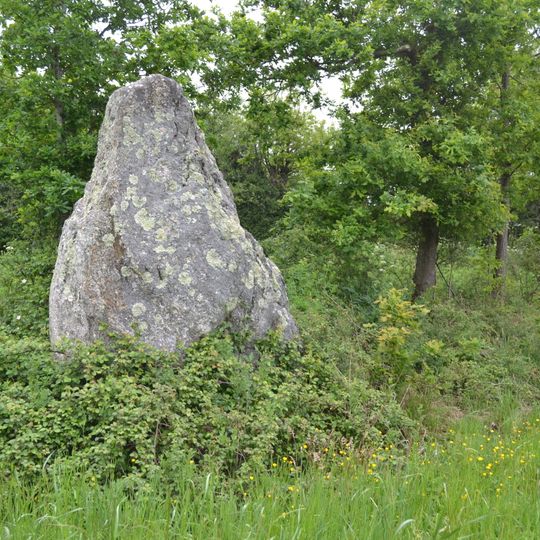 Menhir de la Roche Govi