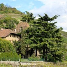 Grünewald in St. Justina