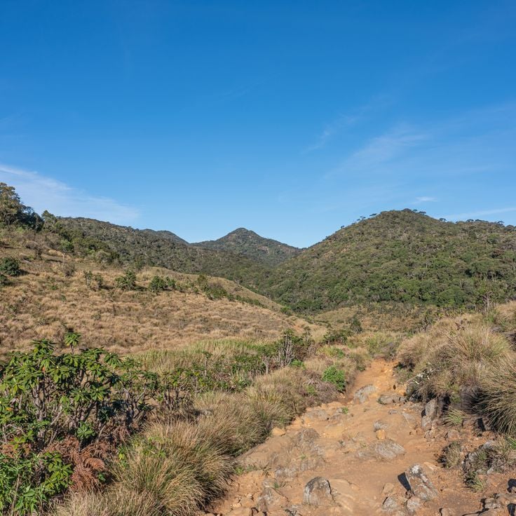 Horton Plains National Park