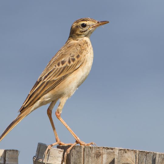 Parc national de Nam Phong
