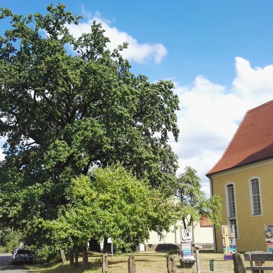 Naturdenkmal Stieleiche Kirchhof, 20 m nördlich der Kirche in Kroppen