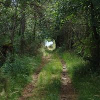 Saint-Alban-en-Montagne