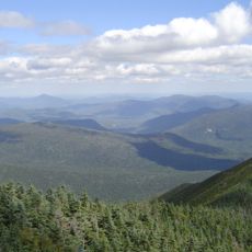 New England/Acadian forests