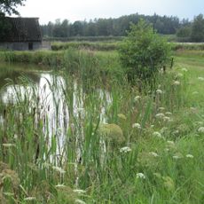 Tirschenreuther Teichpfanne