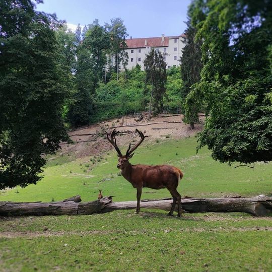 Wildpark Ortenburg