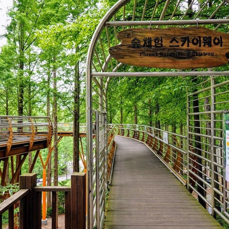 Jangtaesan Natural Recreation Forest