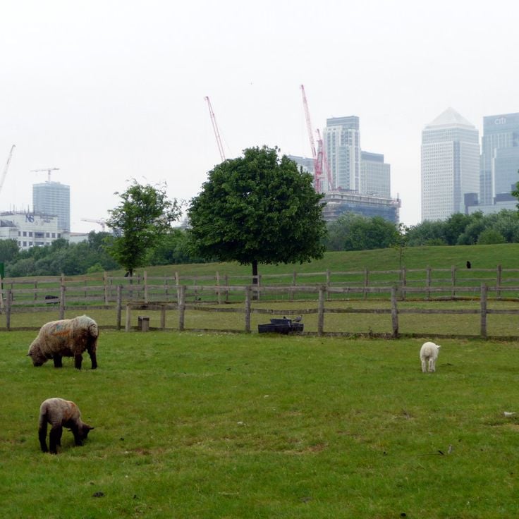 Mudchute Park and Farm
