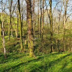 Pond at Johannismühle