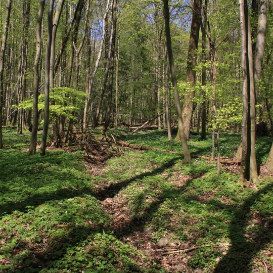 Breiter Berg bei Haselstein