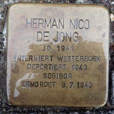 Herman Nico de Jong