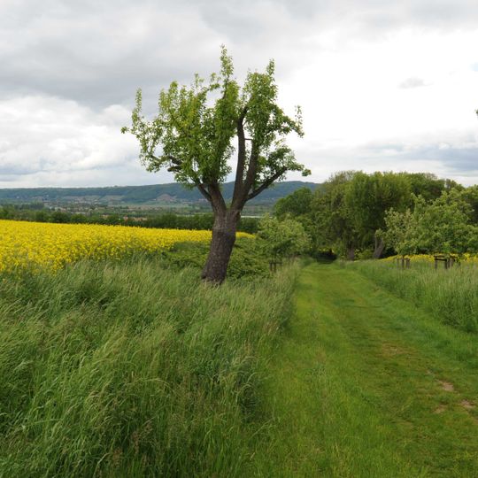 Großsedlitzer Elbhänge und Hochflächen