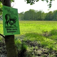 Hochbruch von Hausen