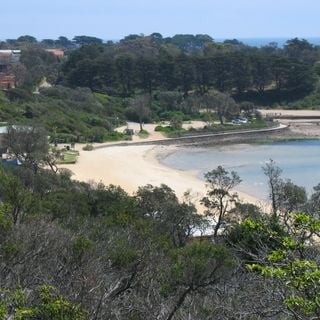 Mills Beach
