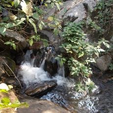 Mambilla Plateau