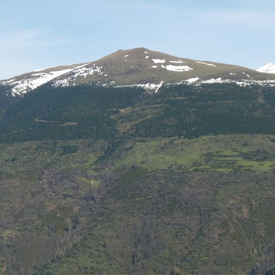 Puig Cerverís