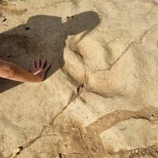 Empreintes de Pas de Dinosaures