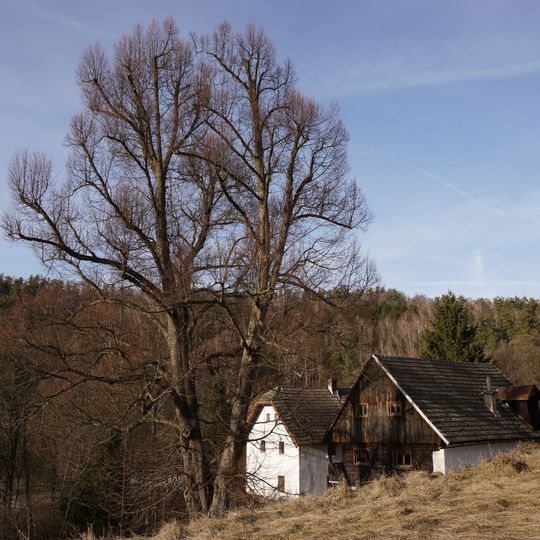 Lípy v Horním Vlachovém