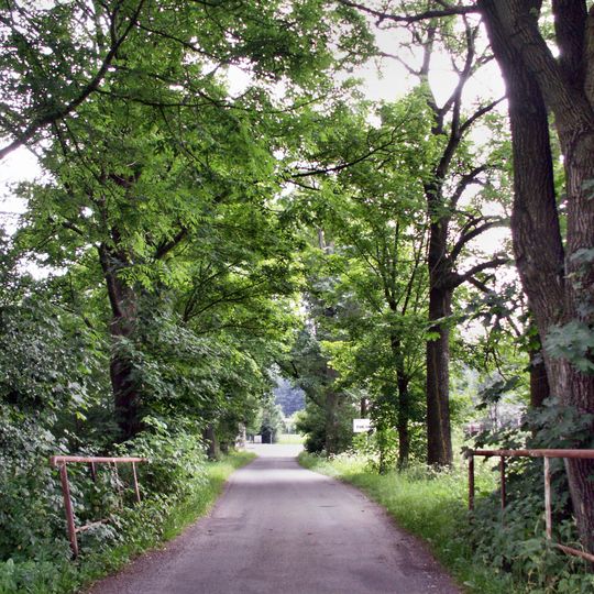 Klenová alej ve Starém Ransku