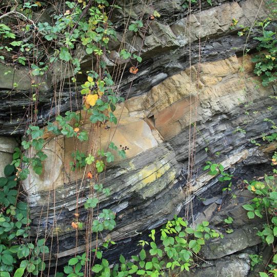 Geologischer Aufschluss Im Schiffswinkel