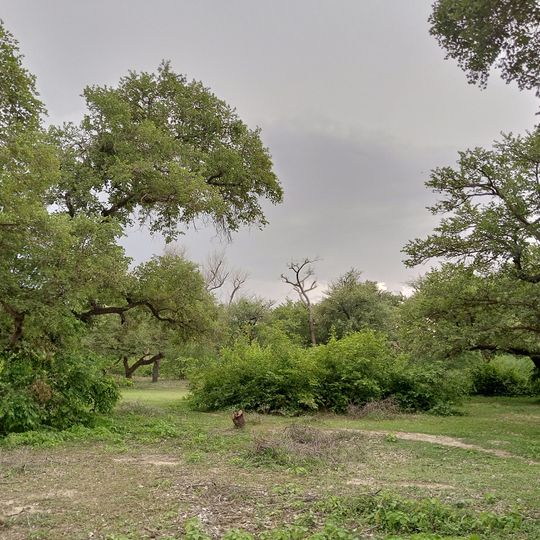 Forêt classée de Madarounfa