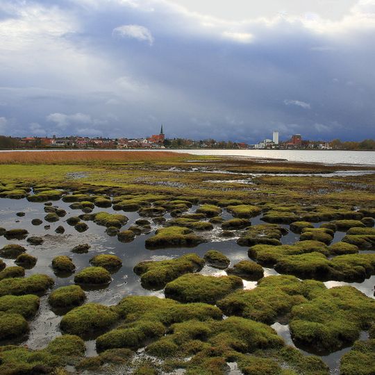 NSG Neustädter Binnenwasser