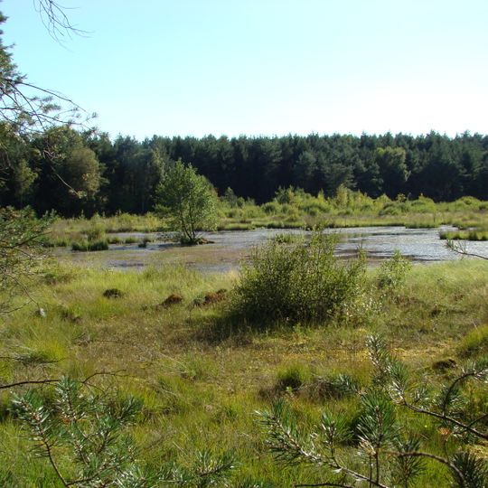 Brambosteler Moor