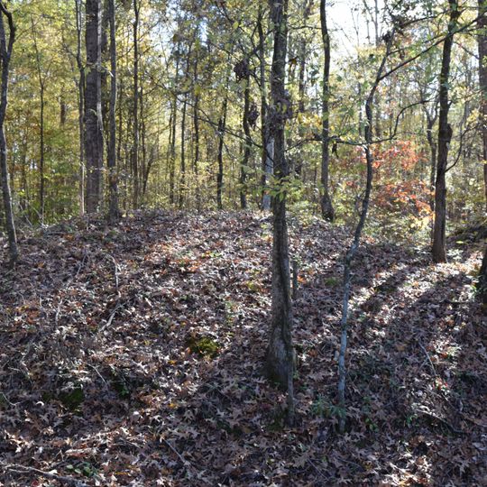 Civil War Earthworks at Tallahatchie Crossing