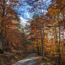Sierra de Cebollera Natural Park