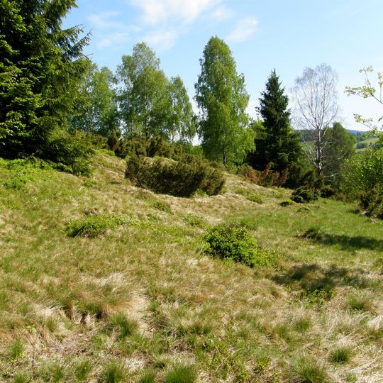 Rezerwat przyrody Vřesová stráň