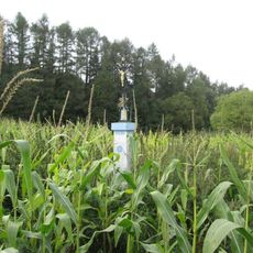 Kříž v poli nedaleko Veselé hory