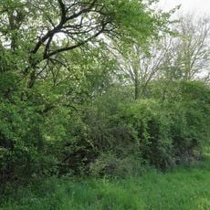 Ödland Au-Rod Häften