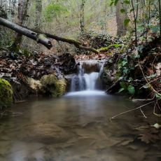 Monumento naturale La Selva