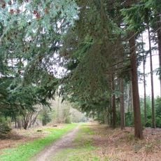 Forêt d'Alice Holt