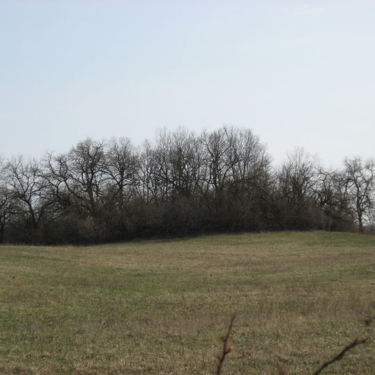 Mann Mound